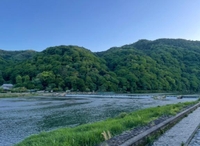 早いよ〜〜〜‼️