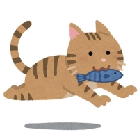 ちゃお🙋‍♀️