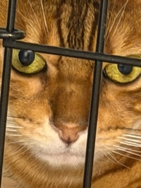 ありがとう💗💗💗