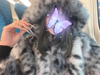 なのであーる。