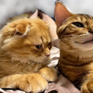 ありがとう💗💗💗