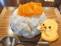 4月25日