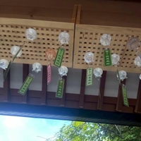 のんびりと〜🎐