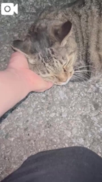 みたよ／シフト