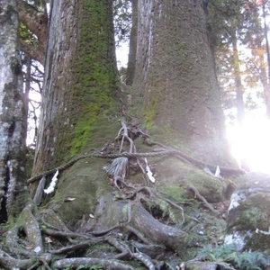 御朱印始めました🙂‍↕️