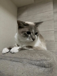 17:30~案内できます