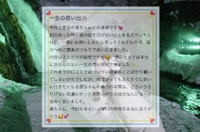 【お礼写メ日記】仮面ライダーY様♡