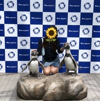 デートしたいな🐠🐬🐳💕