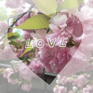 🌸ありがとうございました🌸