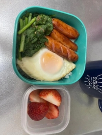 💟元気です‼️