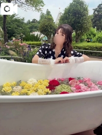 西武遊園地のお花畑🌹🌹バラ園🌹🌹