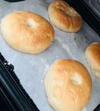 まのんの休日🌱