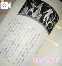 🧡ジブリ発見🛩