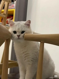 シーズンインザサン♫