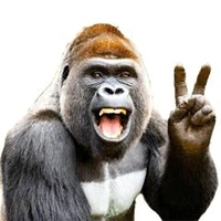 おはぴん！！🦍