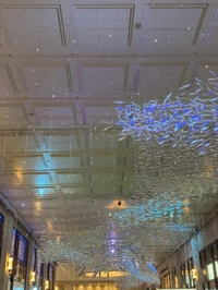 💋キラキラの裏側…🌲💫💭