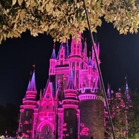 今日は何の日❣️