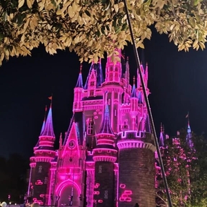 今日は何の日❣️