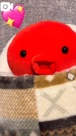 ばぶたこ👶🏻🍼