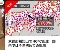 ソオナンヤァ（ラインニュースヨリ）