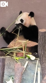 伸びました🙋けど…………