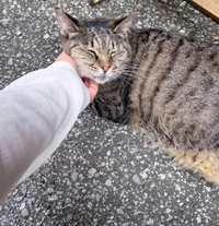 みたよ／シフト