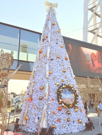 大きな大きな🎄