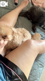 ラブリーChillTime︎💕︎