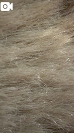 唐突に、クイズ❗️これな〜んだ❓