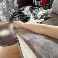 こてん🐱💕