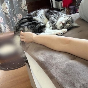 こてん🐱💕