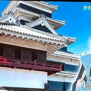✈️ Castle tours in Japan 🏯🇯🇵