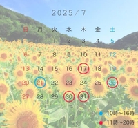 7月のシフト🌻