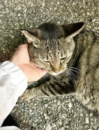 みたよ／シフト