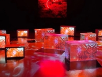 料金改正とお知らせ💁‍♂️⋆͛📢⋆