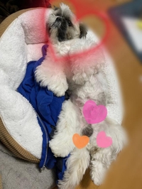 久々に💕💕💕