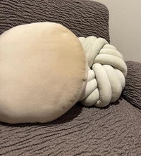 寝床の定位置が