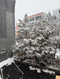 本日残り1枠🈳