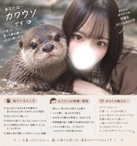 明日２３日〜🦦💕