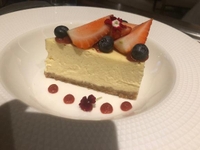 今日からデビューです🌸