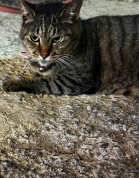 みたよ／シフト