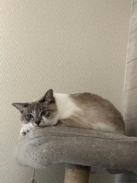 17:10~1枠のみ