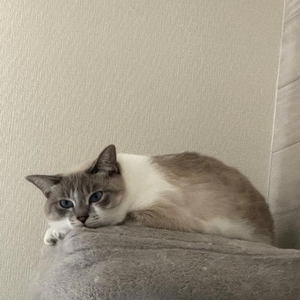 17:10~1枠のみ