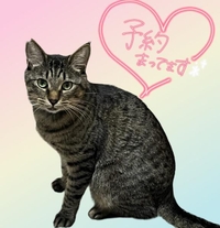 お早めに-`🙌🏻´-