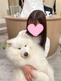 最近の🔞な趣味