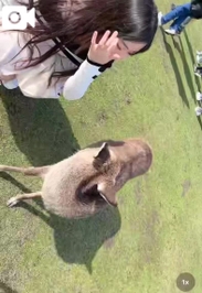 みことの動画♡