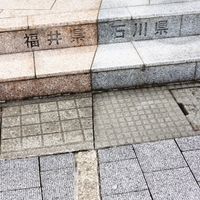 もも