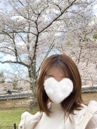 (去年、見に行った桜🌸)