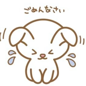 ごめんなさい🙇‍♀️