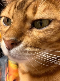 🙇🏻‍♀️🙇🏻‍♀️🙇🏻‍♀️